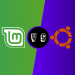 Mint Linux vs Ubuntu: Which is Right For You?